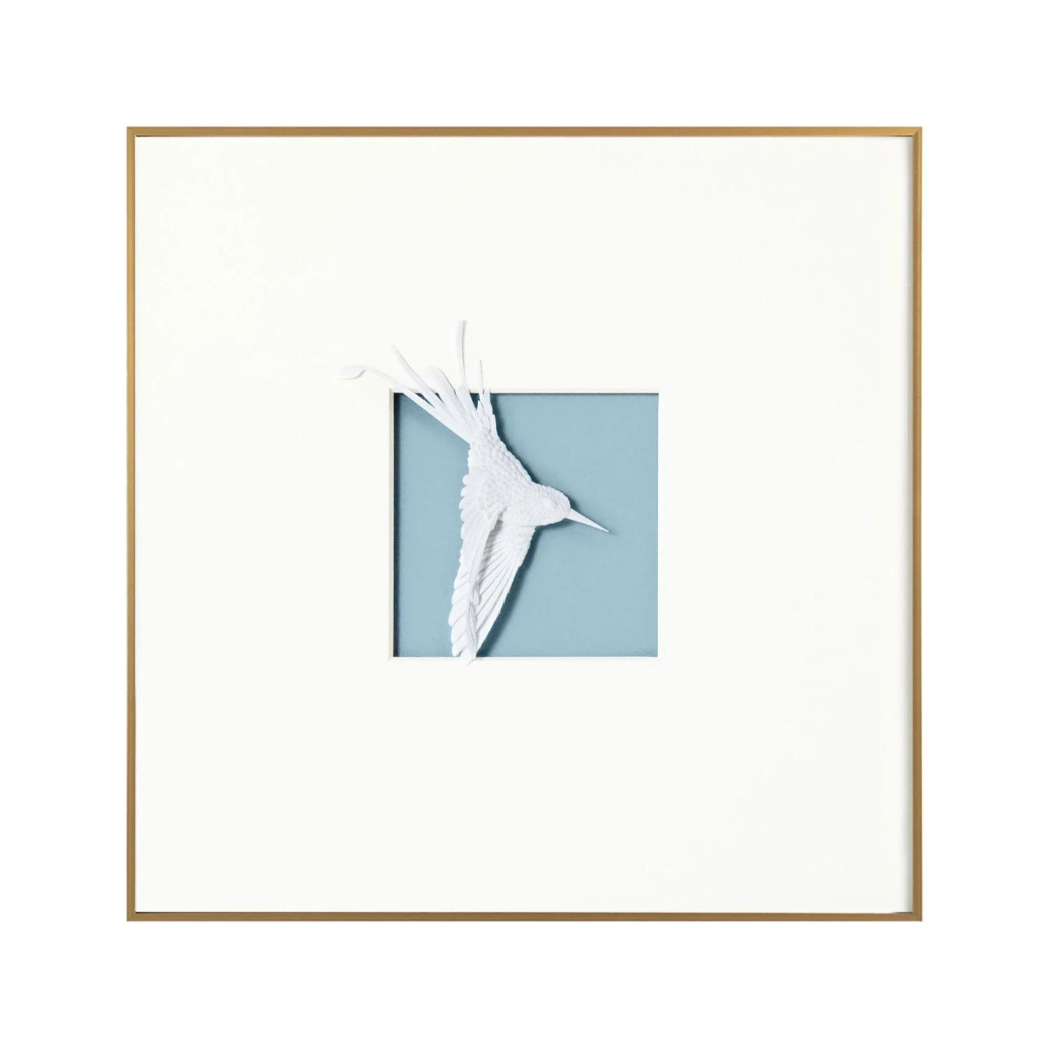 Aviary Framed Art - Turaco 1 Aviary Framed Art - Turaco