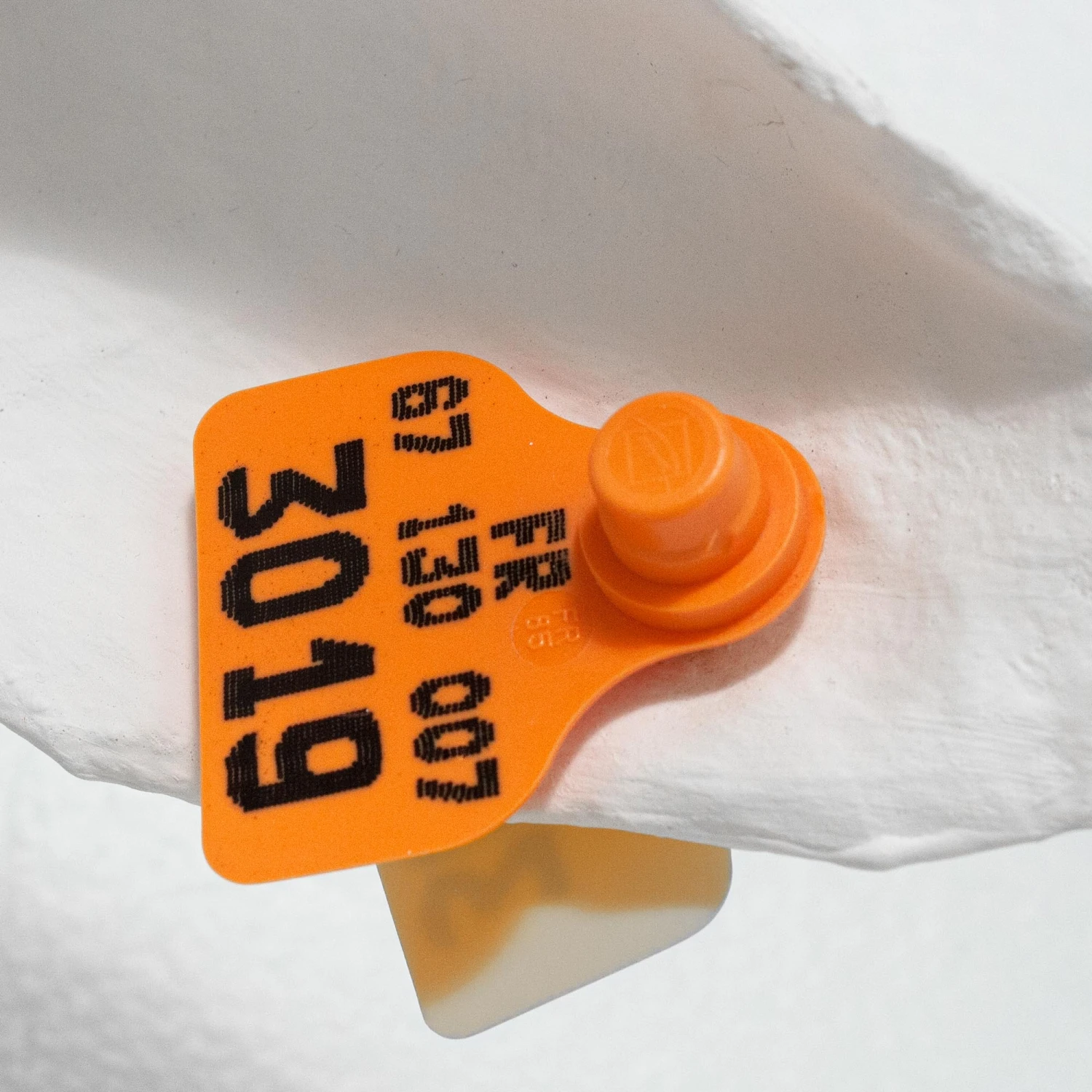 Bigoudi By Marie Talalaeff 6 Bigoudi By Marie Talalaeff - Image 6