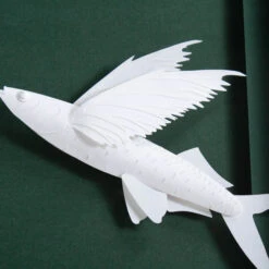 Brant Point Flying Fish -Scout Design Studio BrantPoint.02