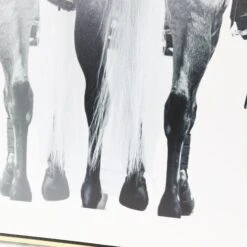 Brother Don Squared 6 Brother Don Squared -Scout Design Studio BrotherDonSquared.04