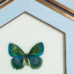 Butterfly Hexagon Art - Set Of 6 5 Butterfly Hexagon Art - Set Of 6 -Scout Design Studio ButterflyHexagonArt Setof6.04