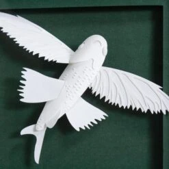 Dionis Flying Fish 10 Dionis Flying Fish -Scout Design Studio Dionis.02