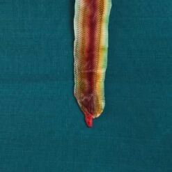 Ezra Sisal Grasscloth Wallpaper 5 Ezra Sisal Grasscloth Wallpaper -Scout Design Studio EzraGrassclothWallpaper.03 1de275cd b464 4da2 aa00 25e2ec285cd9