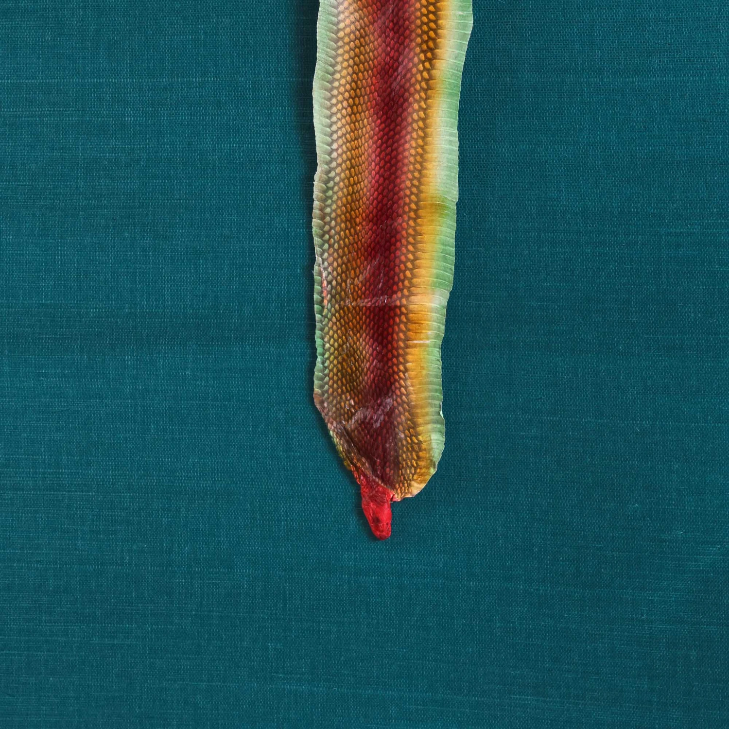 Ezra Sisal Grasscloth Wallpaper 3 Ezra Sisal Grasscloth Wallpaper - Image 3