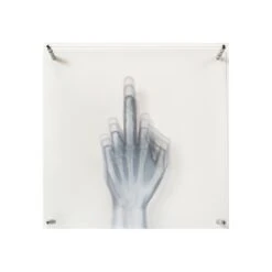 Flip Off To The Bone