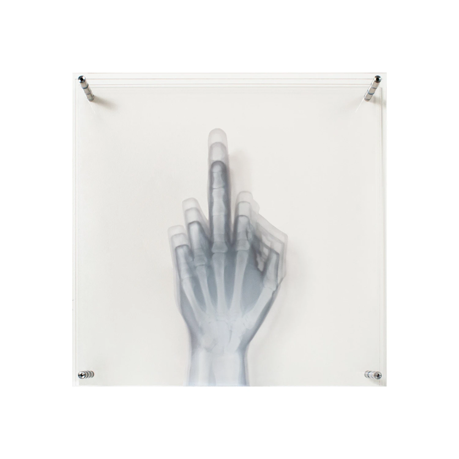 Flip Off To The Bone 1 Flip Off To The Bone