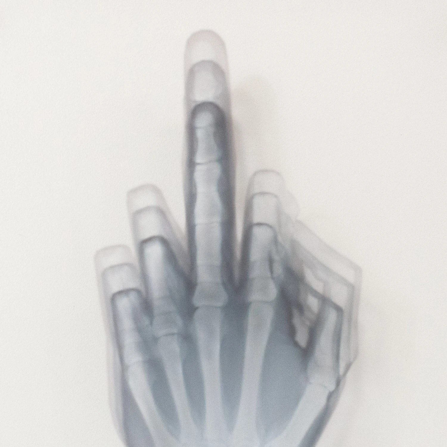 Flip Off To The Bone 2 Flip Off To The Bone - Image 2