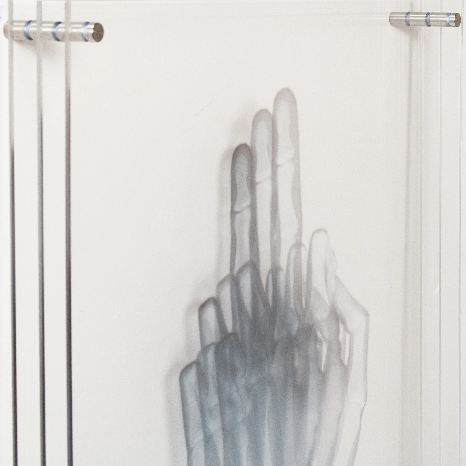 Flip Off To The Bone 3 Flip Off To The Bone - Image 3