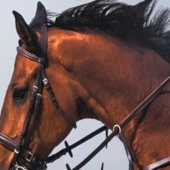 Framed Leaping Equestrian Artwork On Silk Cloth Left - Grey 9 Framed Leaping Equestrian Artwork On Silk Cloth Left - Grey -Scout Design Studio FramedLeapingEquestrianArtworkonSilkClothLeft Grey.02