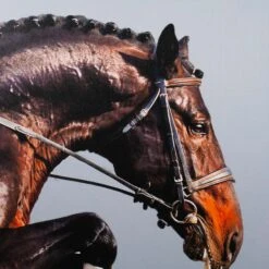 Framed Leaping Equestrian Artwork On Silk Cloth Right - Grey 10 Framed Leaping Equestrian Artwork On Silk Cloth Right - Grey -Scout Design Studio FramedLeapingEquestrianArtworkonSilkClothRight Grey.03