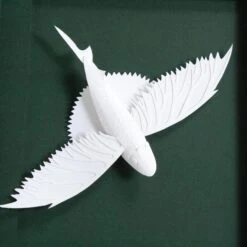 Jetties Flying Fish 8 Jetties Flying Fish -Scout Design Studio Jetties.02