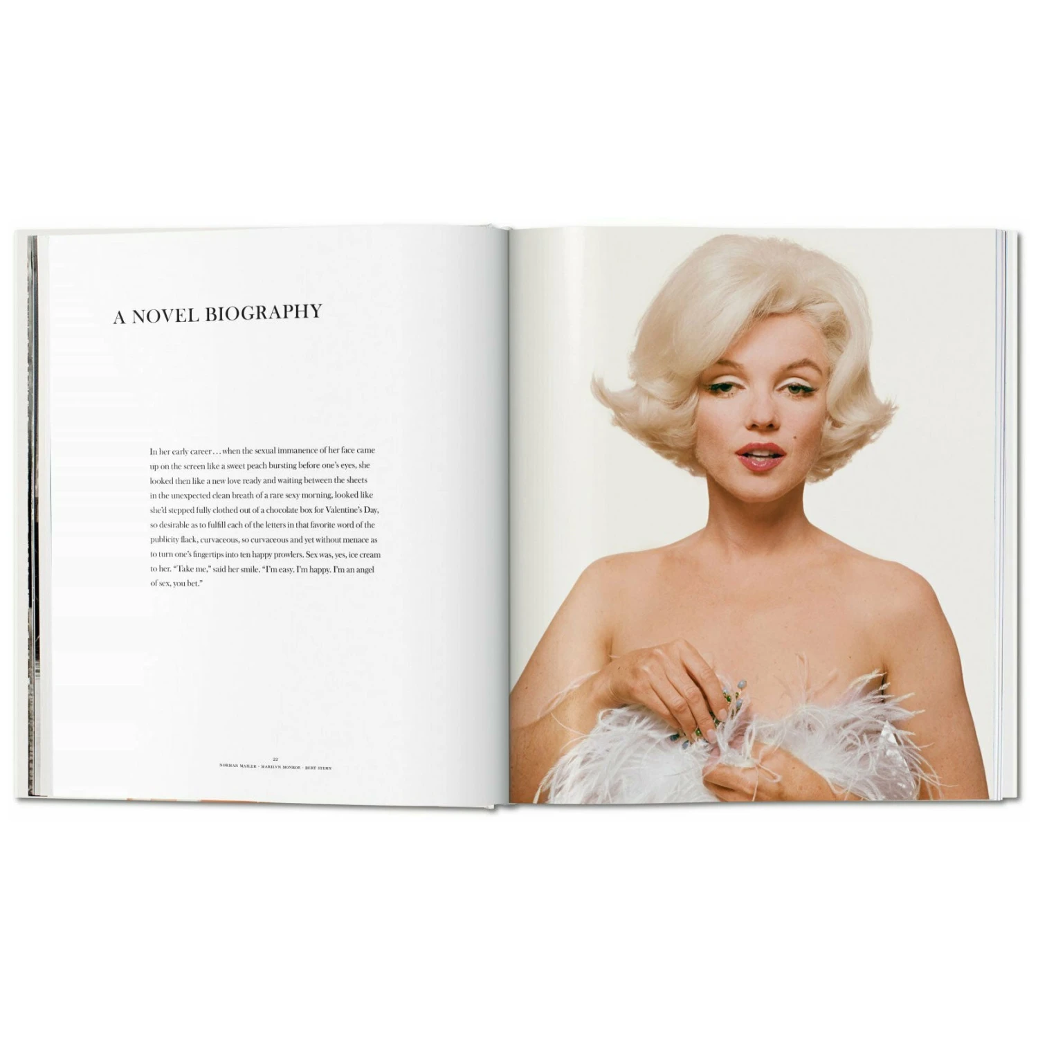 Norman Mailer. Bert Stern. Marilyn Monroe. 7 Norman Mailer. Bert Stern. Marilyn Monroe. - Image 7