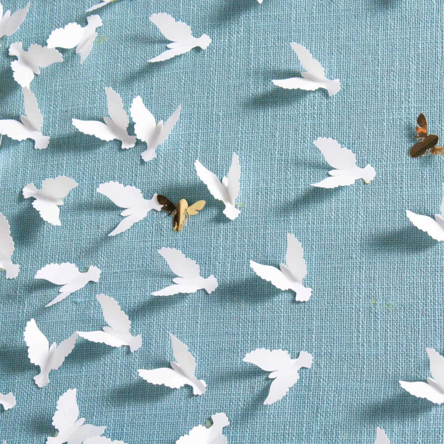 Pajaros 2 Pajaros - Image 2