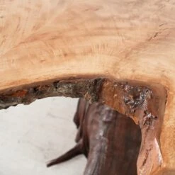Live Edge Table 1 -Scout Design Studio RT 31 SP22LiveEdgeTable1.04