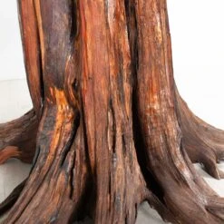 Live Edge Table 2 -Scout Design Studio RT 32 SP22LiveEdgeTable2.06