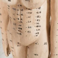 Acupuncture Figure – Woman -Scout Design Studio RT 45 SP22AcupunctureFigure Woman.04