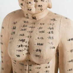 Acupuncture Figure – Woman -Scout Design Studio RT 45 SP22AcupunctureFigure Woman.05
