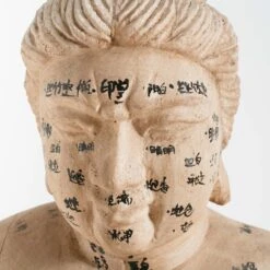 Acupuncture Figure – Woman -Scout Design Studio RT 45 SP22AcupunctureFigure Woman.06