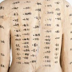 Acupuncture Figure – Woman -Scout Design Studio RT 45 SP22AcupunctureFigure Woman.08