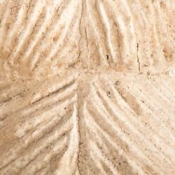 Acupuncture Figure – Woman -Scout Design Studio RT 45 SP22AcupunctureFigure Woman.10