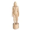 Acupuncture Figure – Man