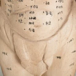 Acupuncture Figure – Man -Scout Design Studio RT 46 SP22AcupunctureFigure Man.04