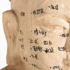 Acupuncture Figure – Man -Scout Design Studio RT 46 SP22AcupunctureFigure Man.08