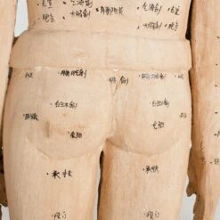 Acupuncture Figure – Man -Scout Design Studio RT 46 SP22AcupunctureFigure Man.09