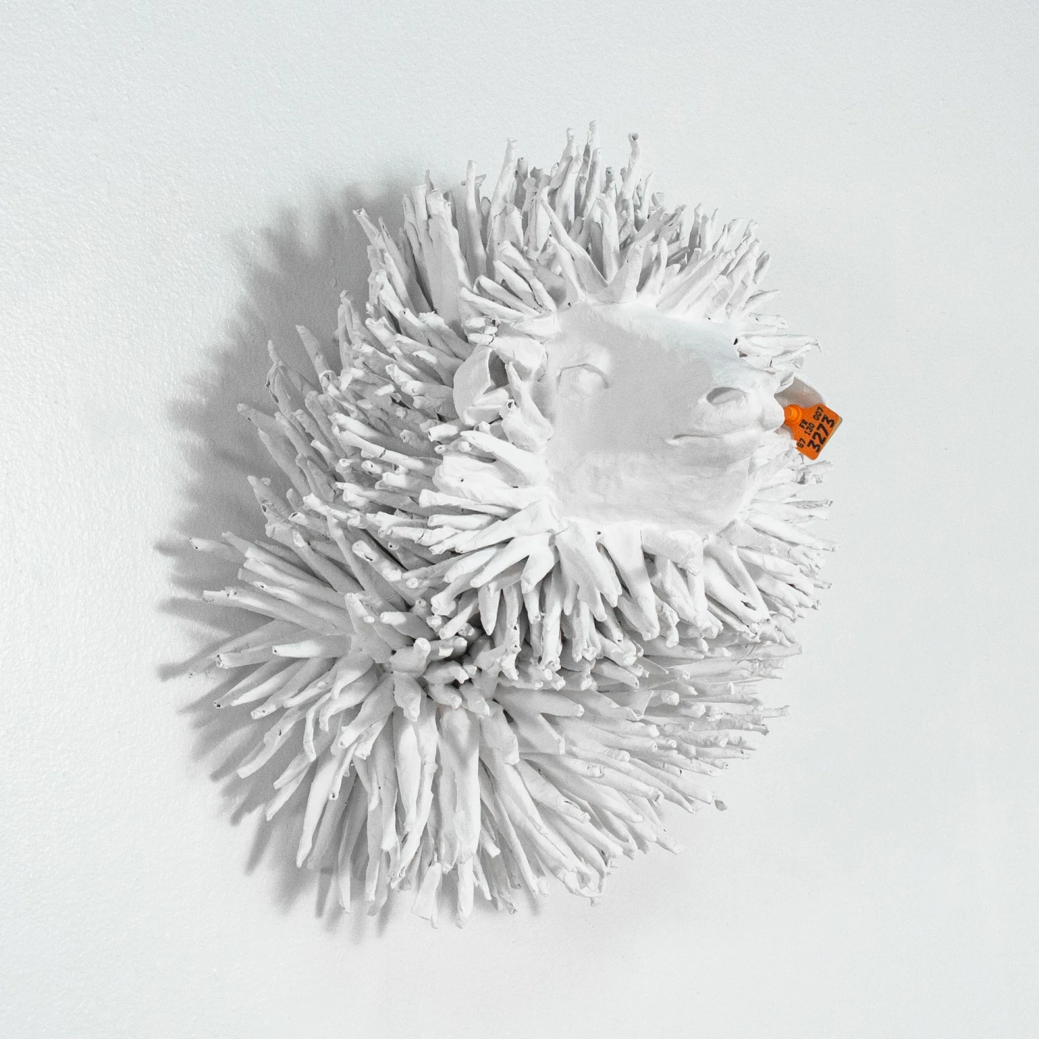 Rasta By Marie Talalaeff 2 Rasta By Marie Talalaeff - Image 2