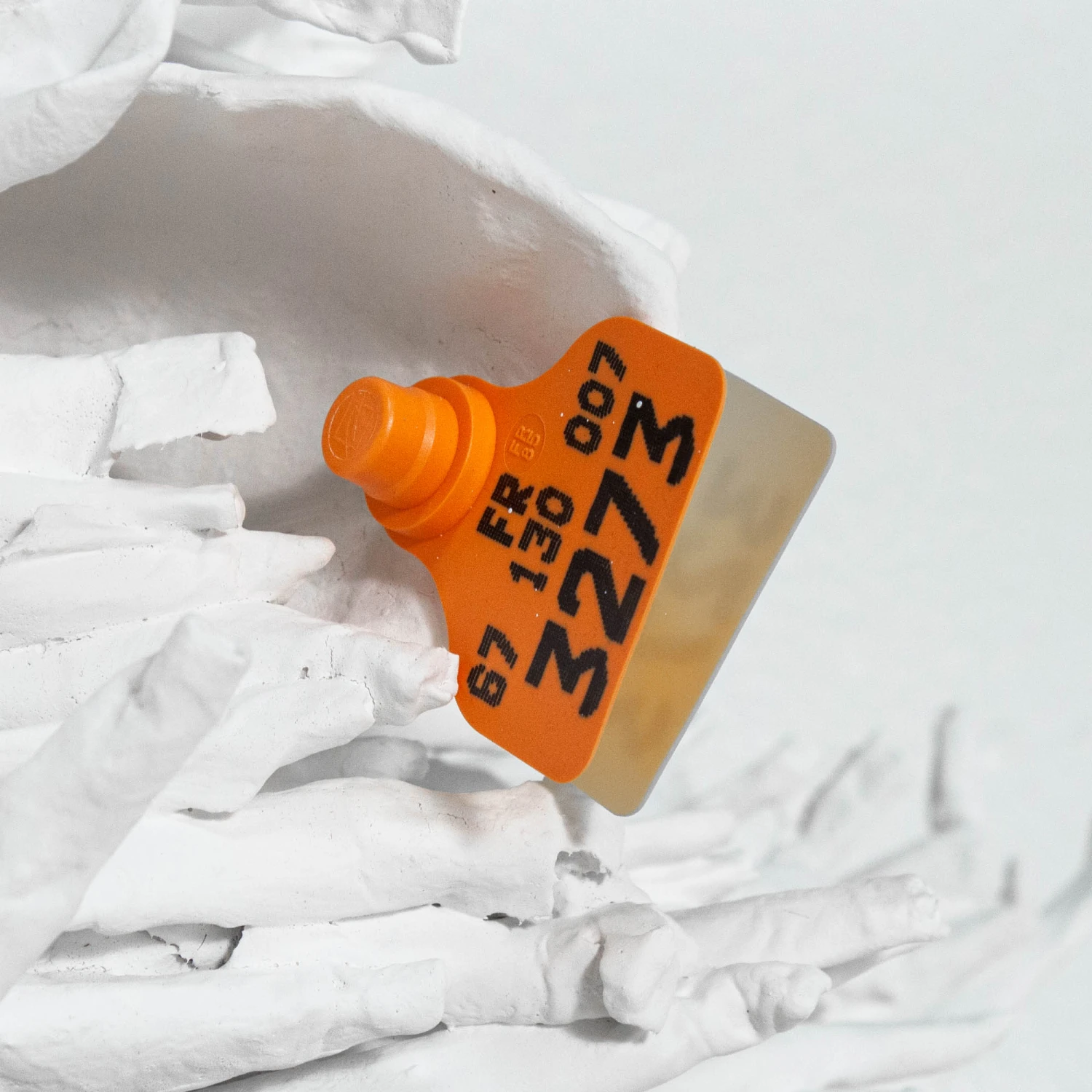 Rasta By Marie Talalaeff 6 Rasta By Marie Talalaeff - Image 6