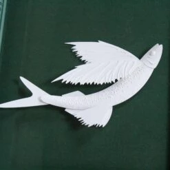 Sankaty Flying Fish -Scout Design Studio Sankaty.02