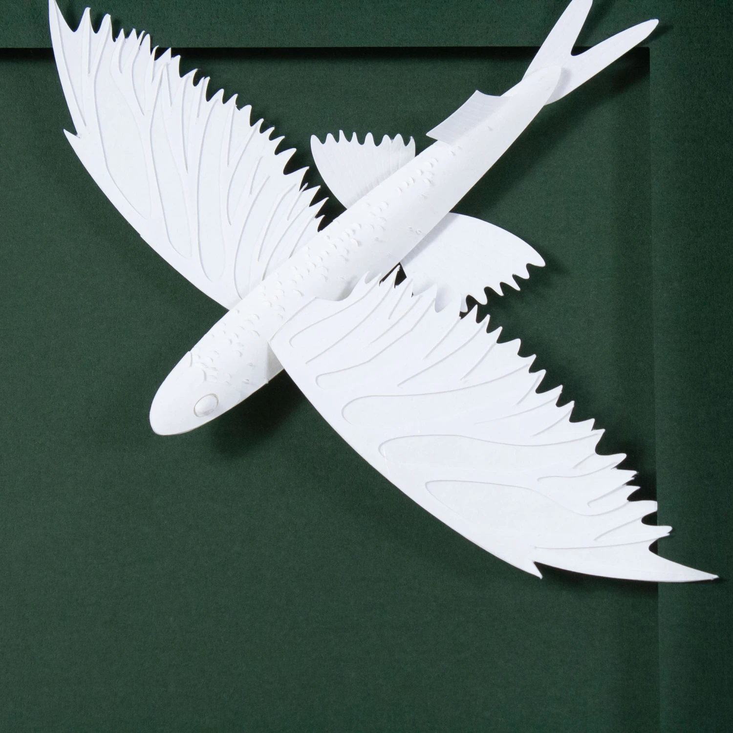 Sconset Flying Fish 5 Sconset Flying Fish - Image 5