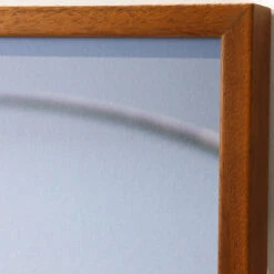 Sister Ann -Scout Design Studio SisterAnn.04