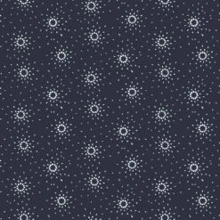 Star Flower - Black Hole