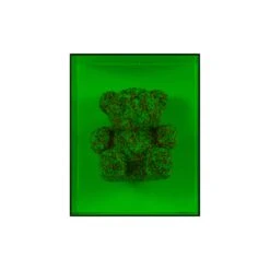 Sweet Tooth Petite - Green