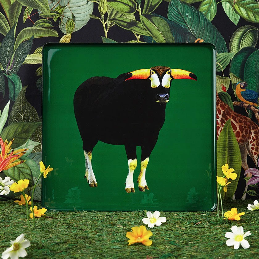 Toucan Square Tray 2 Toucan Square Tray - Image 2