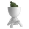 Turtle Carry Planter & Champagne Cooler - White