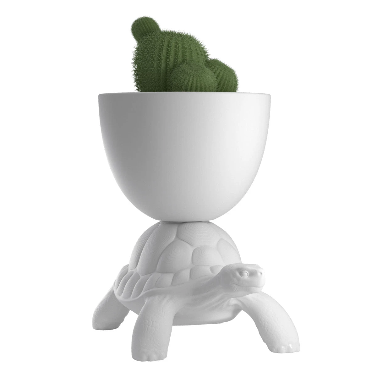 Turtle Carry Planter & Champagne Cooler - White 1 Turtle Carry Planter & Champagne Cooler - White