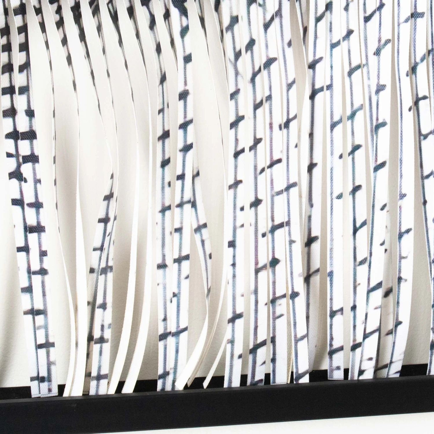 Who's Looking 4 Who's Looking - Image 4