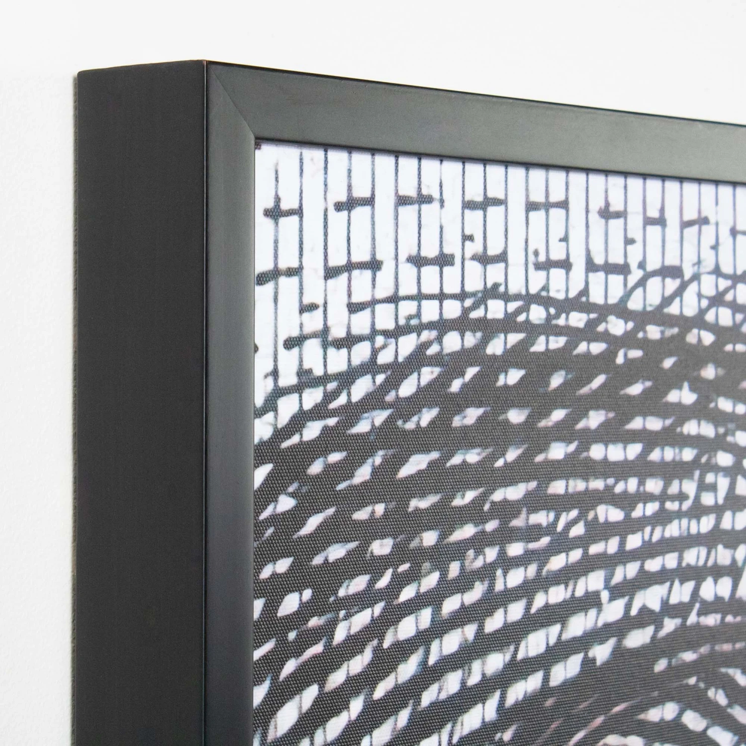 Who's Looking 5 Who's Looking - Image 5